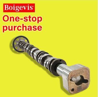 BOIGEVIS 06J 109 022 J/06J 109 022 AT Lamando Camshaft xả