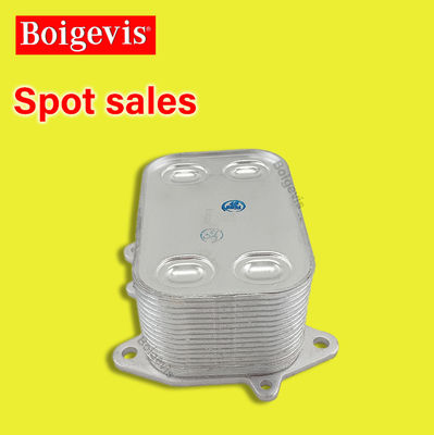 boigevis Máy làm mát dầu OEM Máy làm mát dầu cho BEETLE 5C1 5C2 03N117021