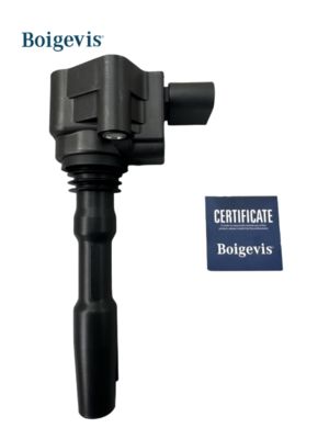 079905110J Vòng cuộn lửa cho VW AUDI A6 VAG SEAT SKODA BENTLEY